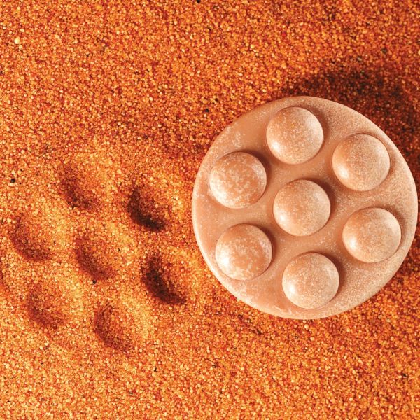 Sensory Stones