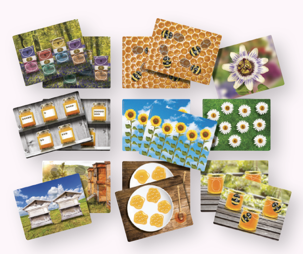 Honey Bee Number Cards 