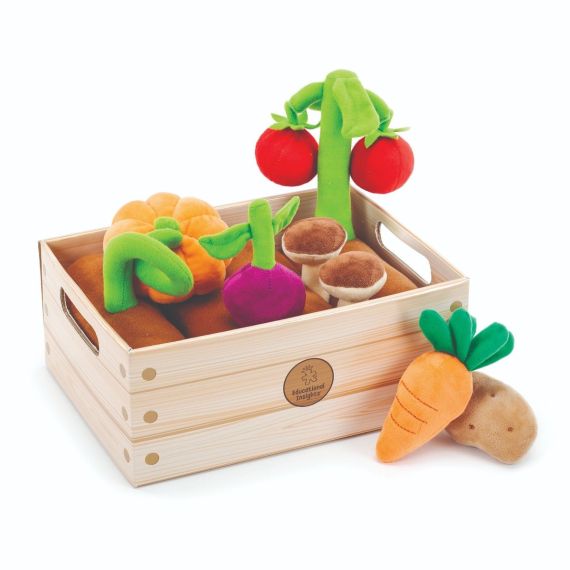 Vegetable Garden