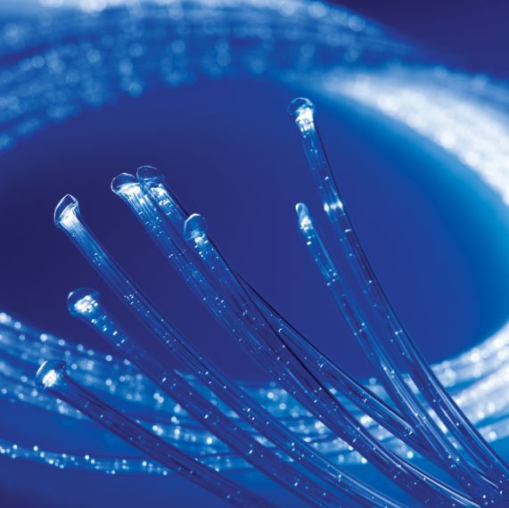 Jumbo Fibre Optic Sideglow