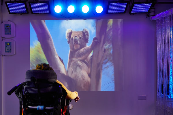 Multi Sensory Environments