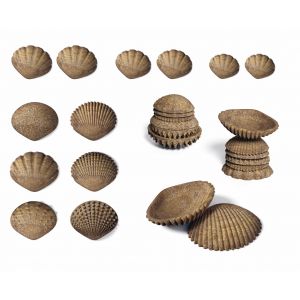 Eco Friendly Tactile Shells